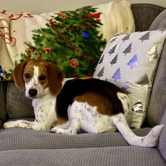 Meet your Posher, Terry - Picture 1 of 1